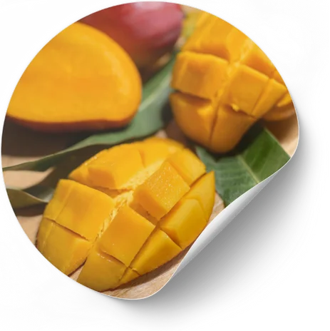 African Mango Seed Extract